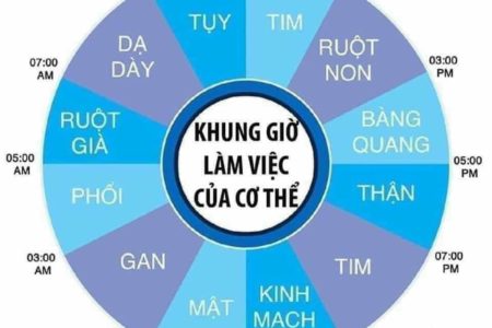 8 Khung giờ vàng thải độc cho cơ thể