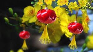 LỊCH HỌC LỚP KINH DỊCH NÂNG CAO – MAI HOA DỊCH SỐ (Hệ Online – Khóa KD3K2)